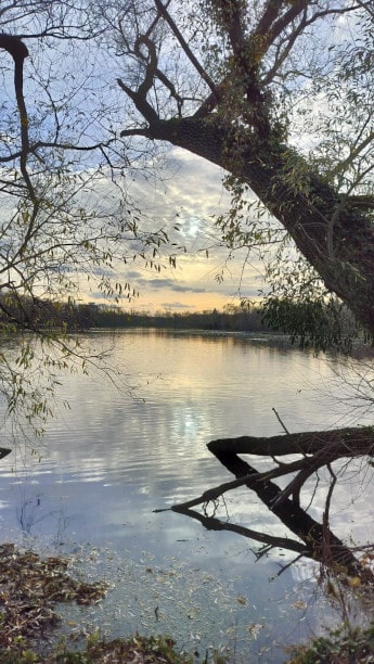 Photo d'un lac en hiver